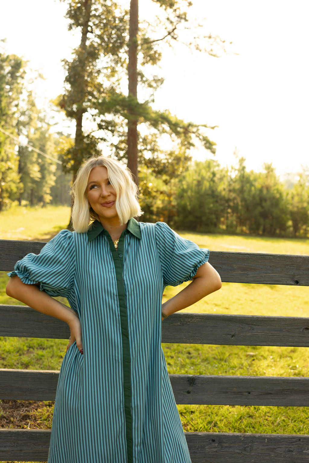 The Willow Stripe Dress