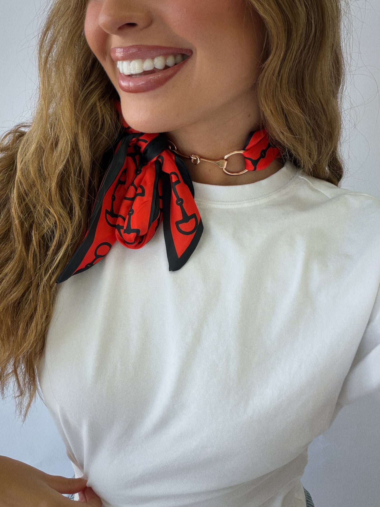 Horsebit Scarf Necklace - Red & Black