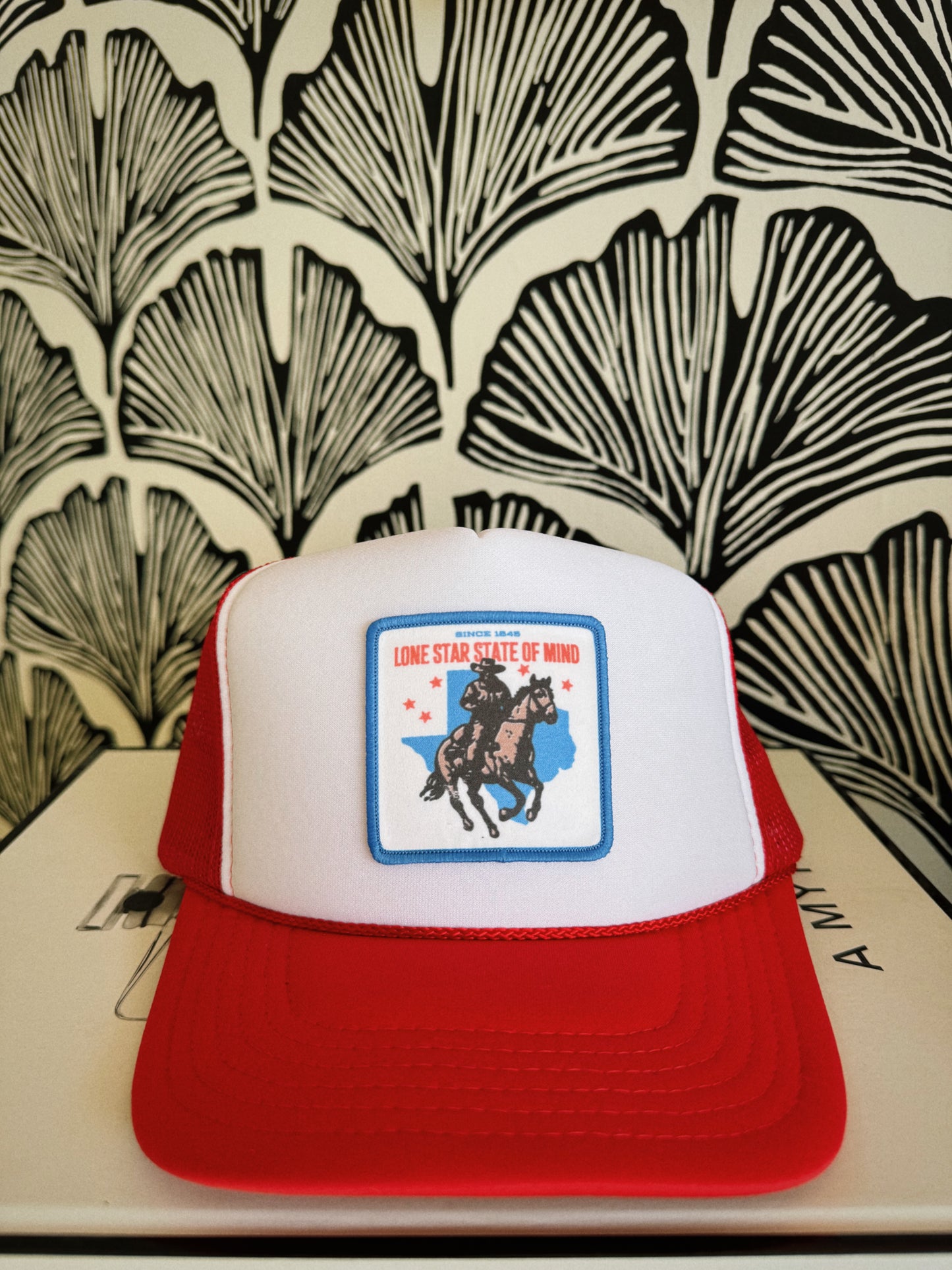 Lone Star State Of Mind