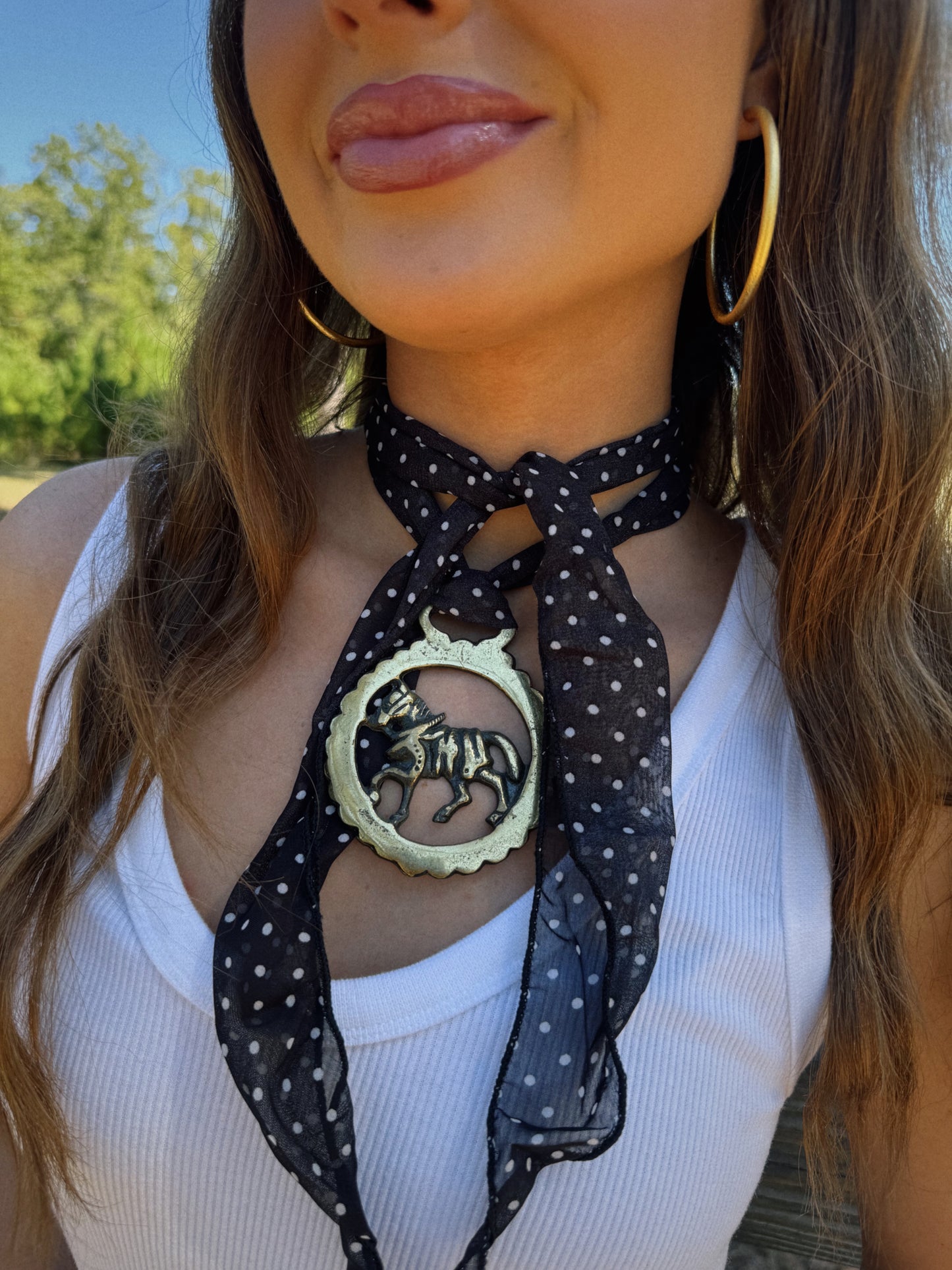 The Saddle Soul Vintage Scarf Necklace